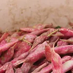 مزرعة للإقامة Casa De Bertoldi بيلونو