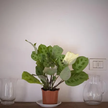 Bauernhof Casa De Bertoldi *