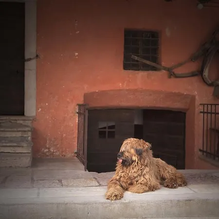 Casa De Bertoldi