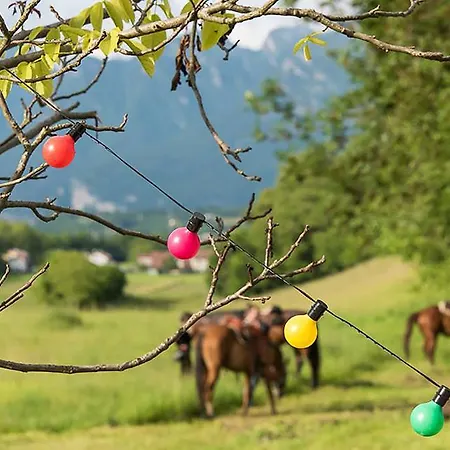 Vakantieboerderij Casa De Bertoldi Belluno