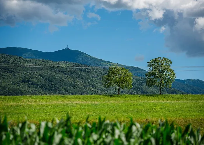 Casa De Bertoldi Belluno