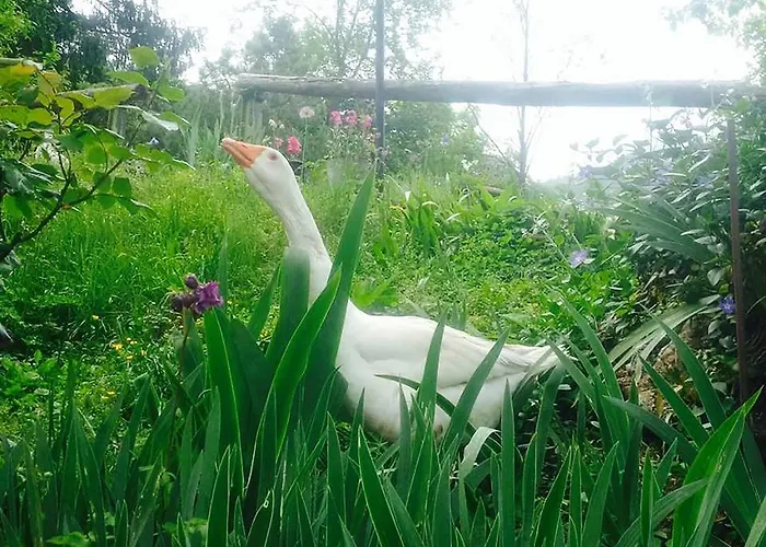 팜스테이 Casa De Bertoldi 벨루노