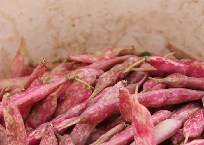 팜스테이 Casa De Bertoldi 벨루노