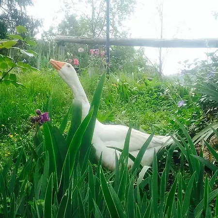 Çiftlik konaklama Casa De Bertoldi Belluno