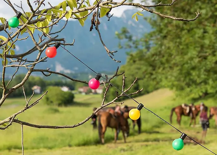 Feriegård Agriturismo Casa De Bertoldi Belluno